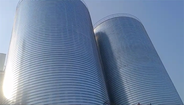 盘锦2座混凝土高架卷板仓